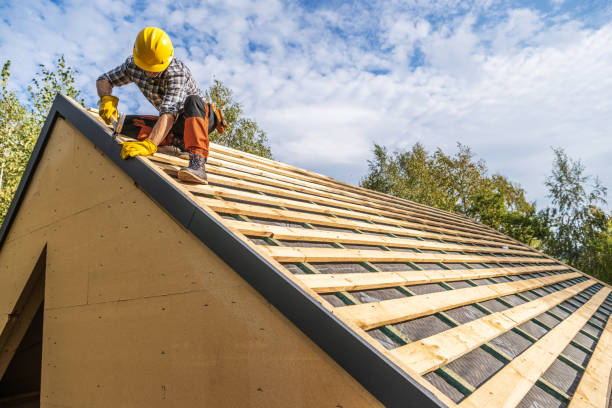 Roof Gutter Cleaning in Salem, MO